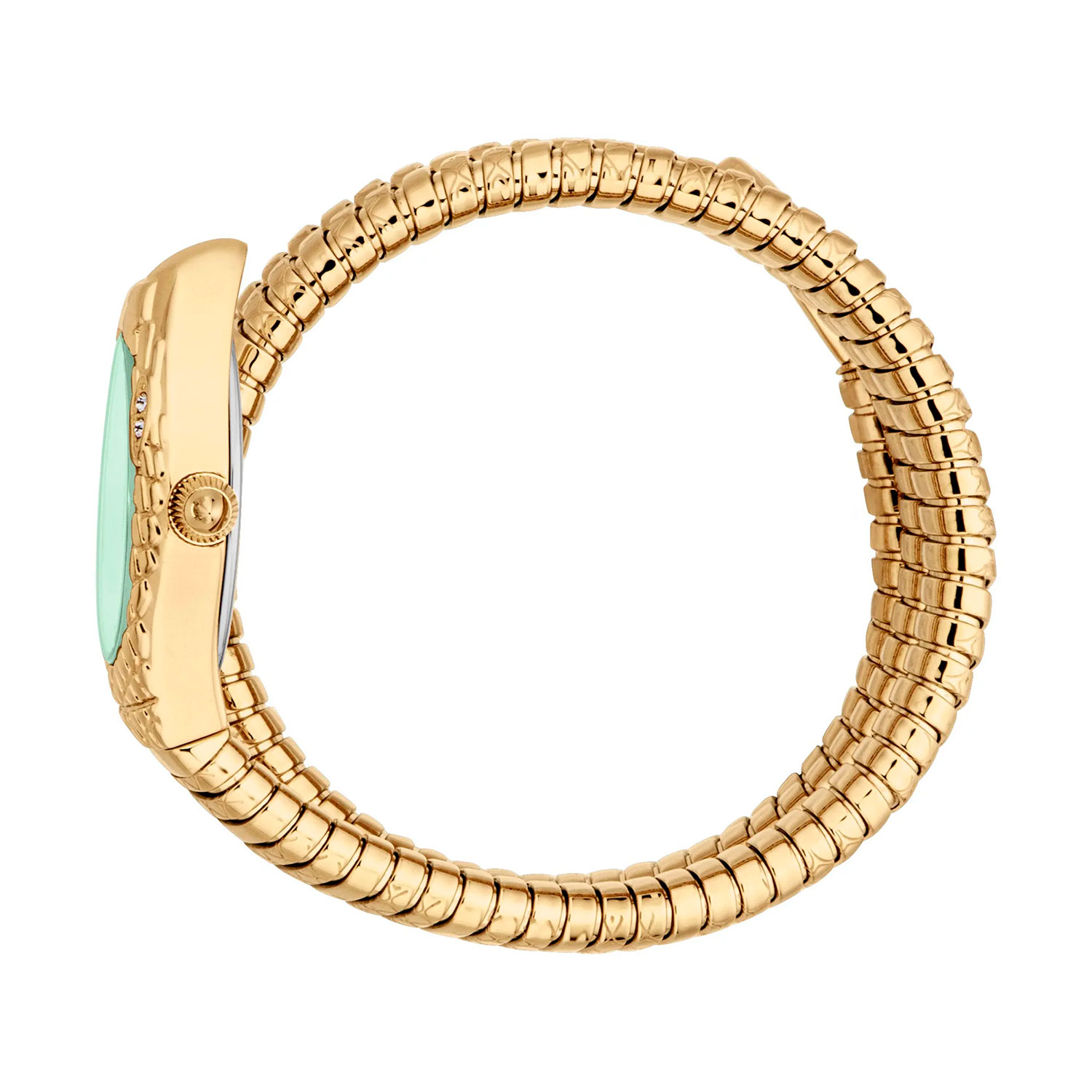 Just Cavalli JC1L374M0035
